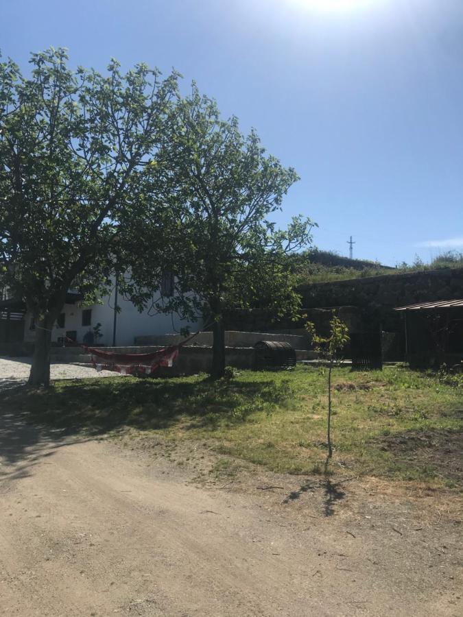 ギマランイス Casa Novaヴィラ エクステリア 写真